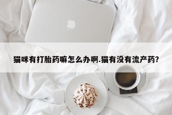 打胎药使用猫咪有打胎药嘛怎么办啊.猫有没有流产药？